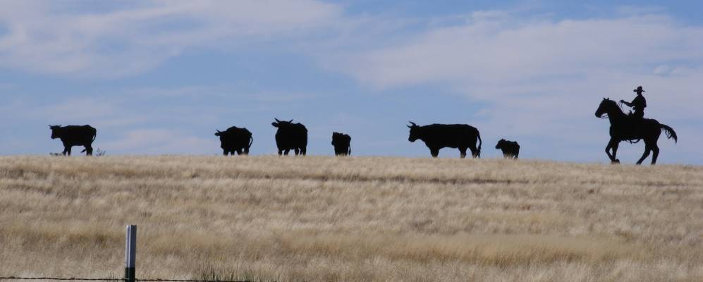 
            Фотография Джала