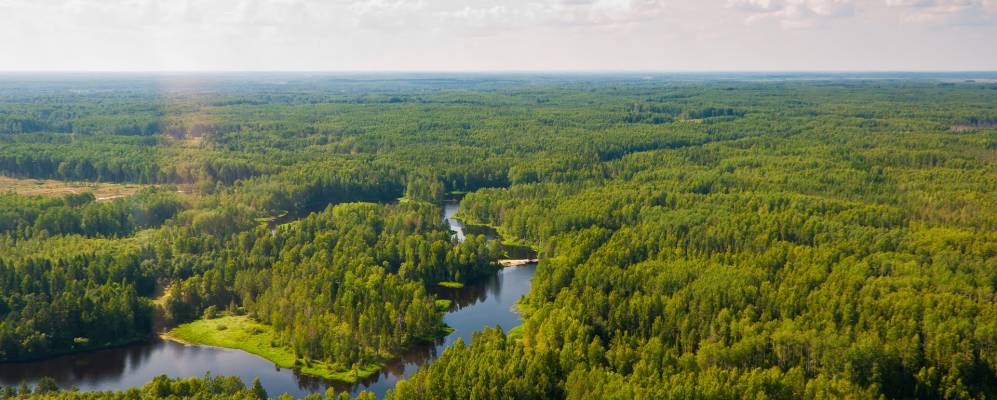 
            Фотография урочища Осницы