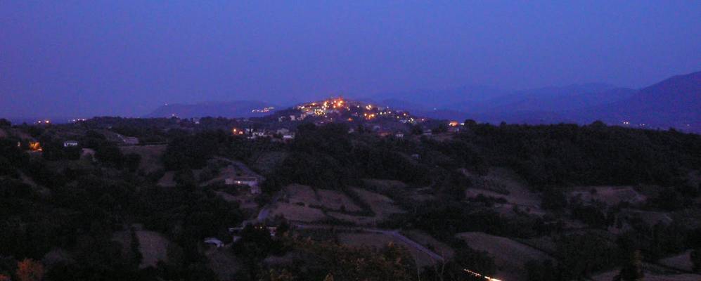 
            Фотография Пофи