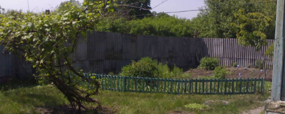 
            Фотография Шумской