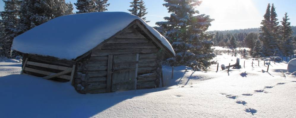 
            Фотография Kamben