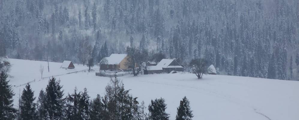 
            Фотография Задельского