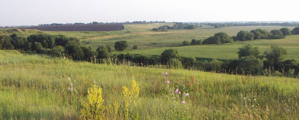 
            Фотография Лужков