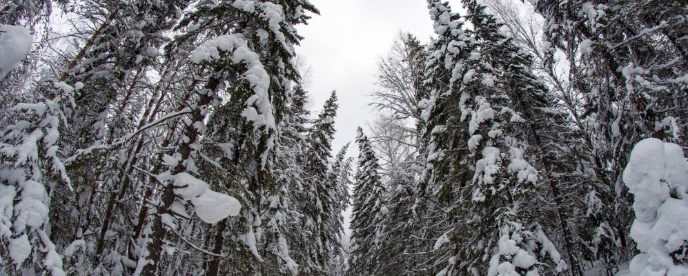 Фотография Быково