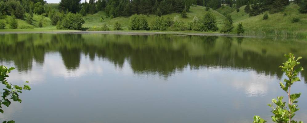 Фотография Кривой Шелокши