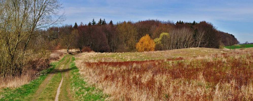 
            Фотография Römnitz