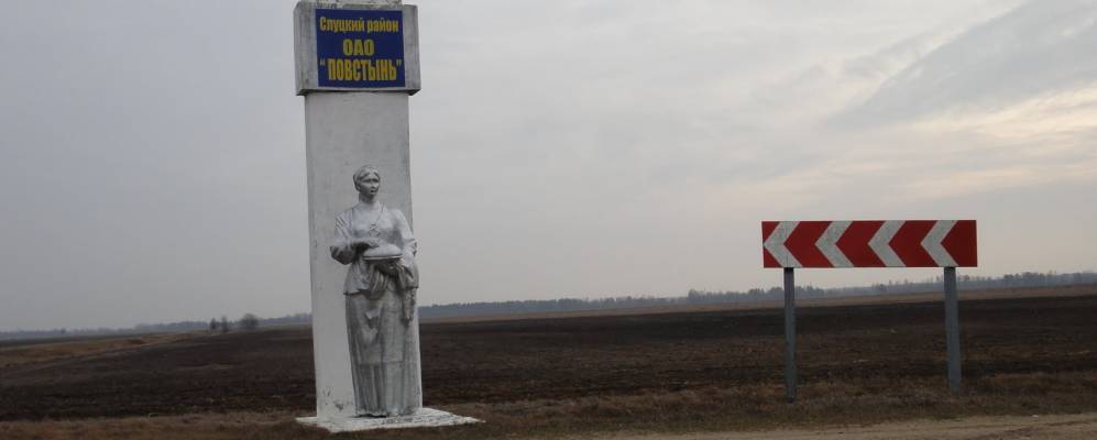 Фотография деревни Липки