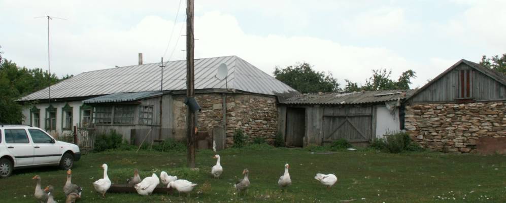 
            Фотография Веригино