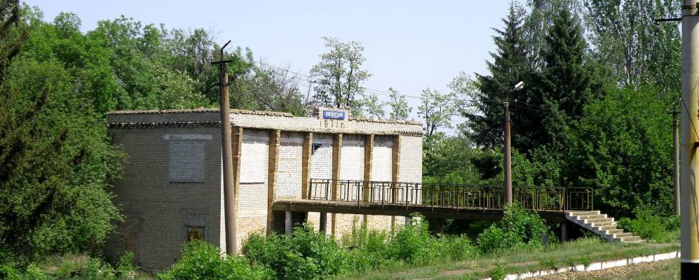 
            Фотография Комендантского