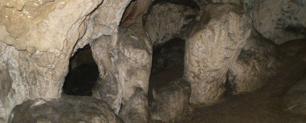 
            Фотография Малаи Угольки