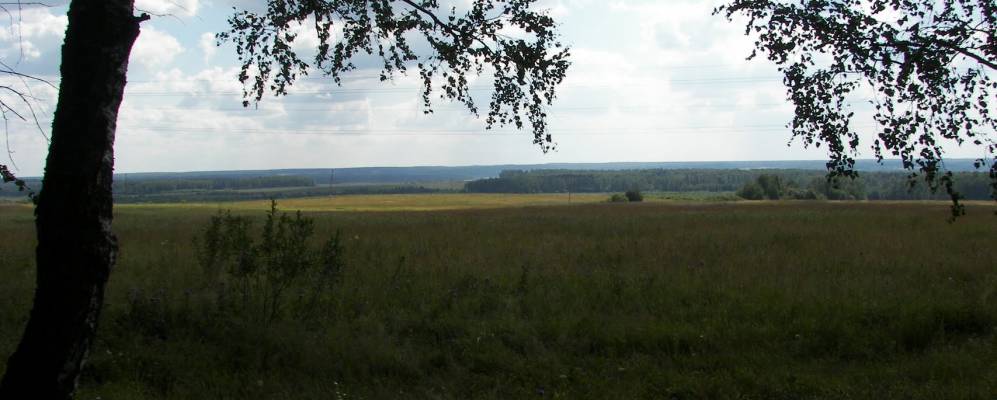 
            Фотография Дубков