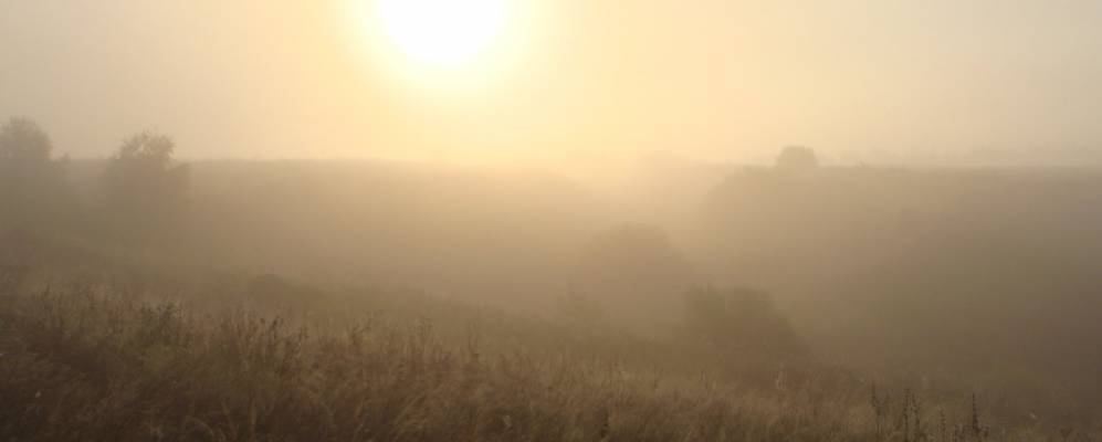 
            Фотография Заволжского