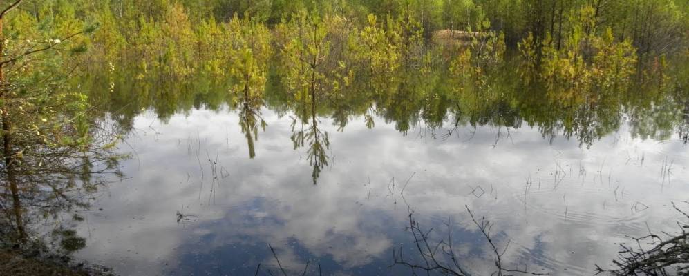 
            Фотография Лозовки