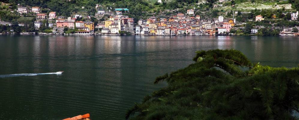 
            Фотография Нессо