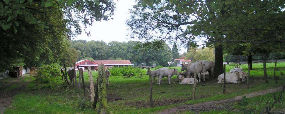 
            Фотография Ланьи-сюр-Марна