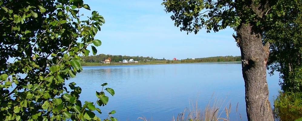 Фотография Рюмниково