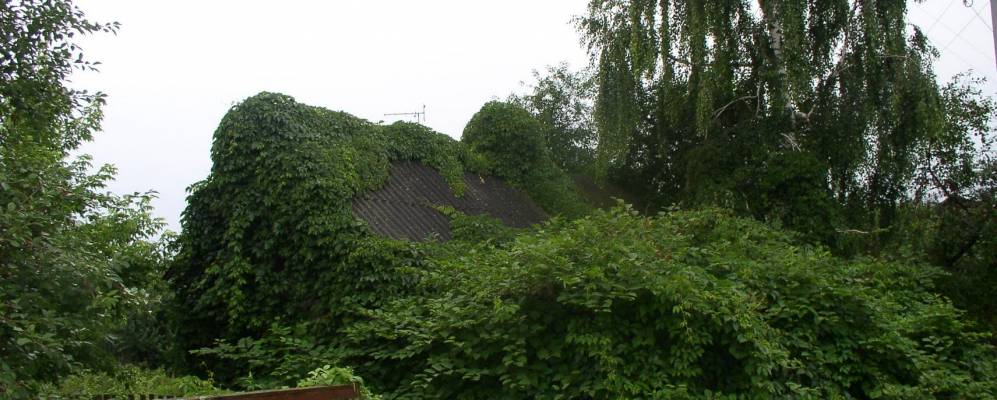 
            Фотография Малые Кошарища