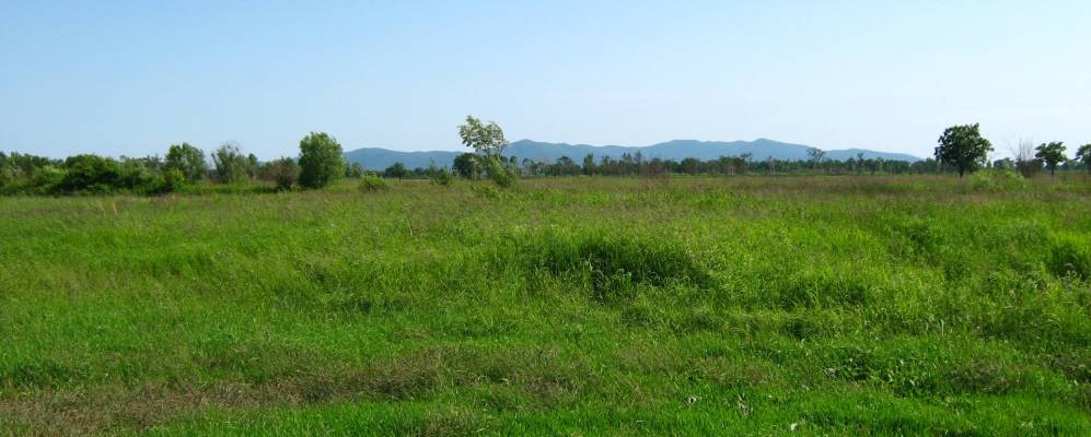 
            Фотография Красного Востока