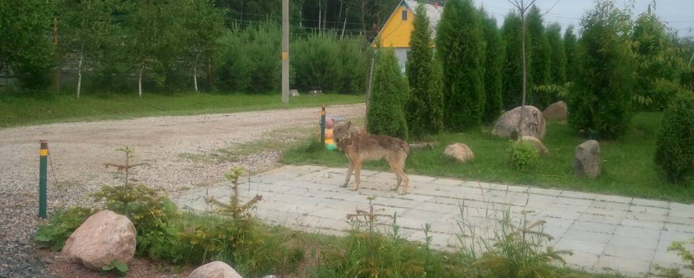 
            Фотография деревни Юрковичи