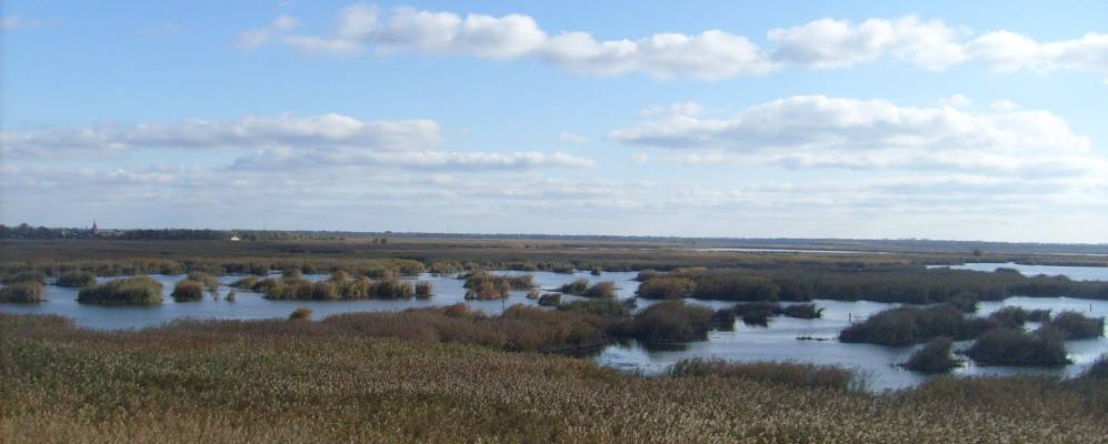
            Фотография Пригородного