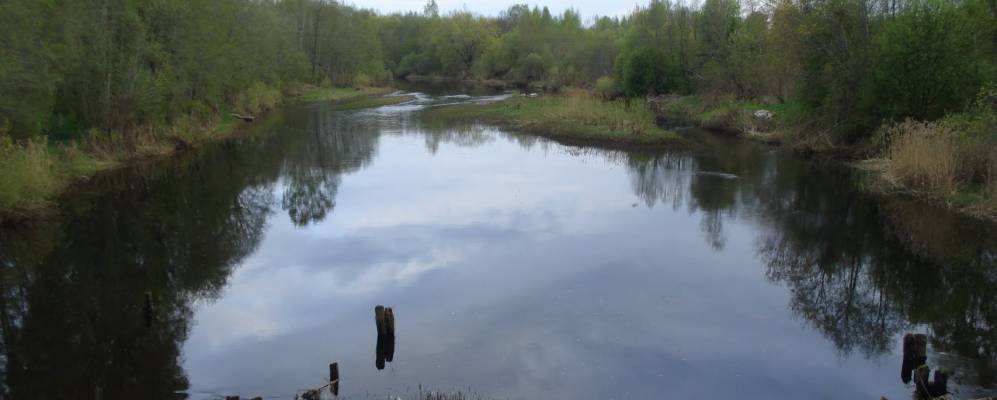 Фотография Болотово