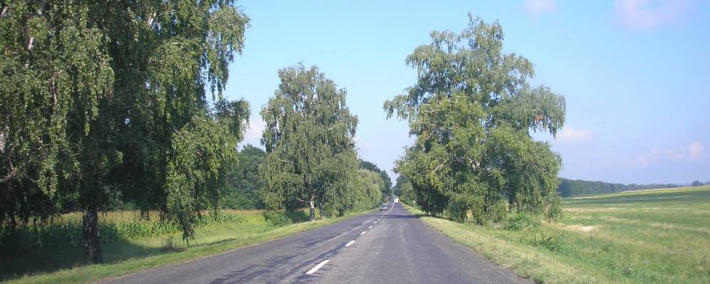 
            Фотография Кузьменки