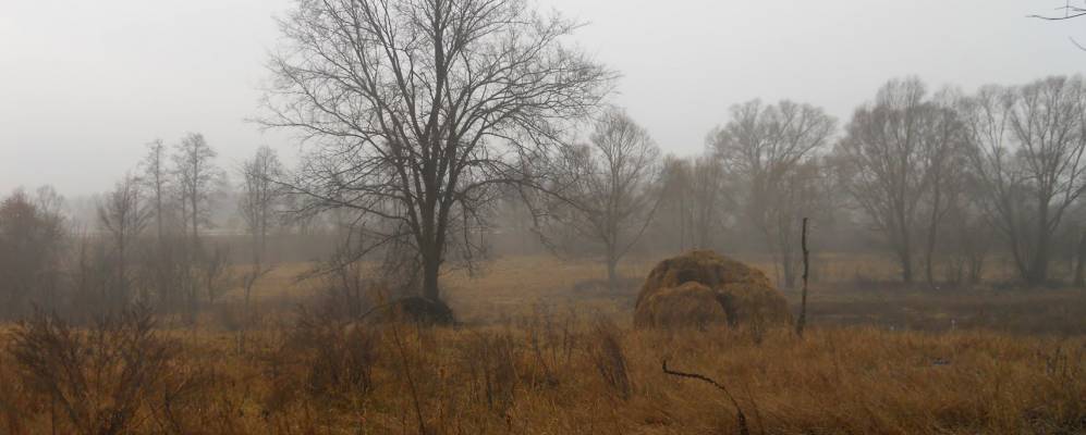 
            Фотография Кацир