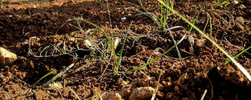 Фотография Бельских