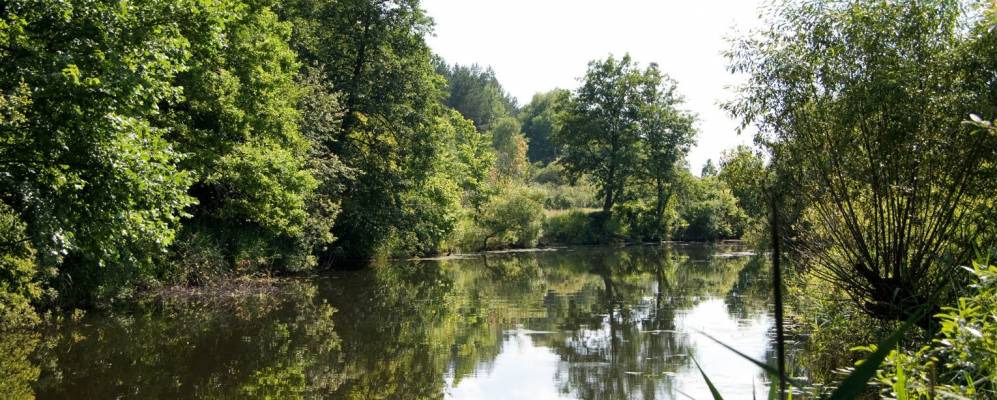 
            Фотография Кольцовки