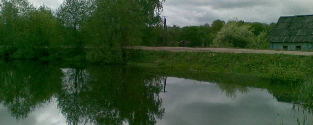 
            Фотография Новой Земли