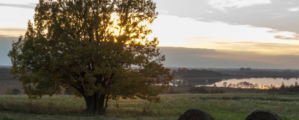 
            Фотография Варганов
