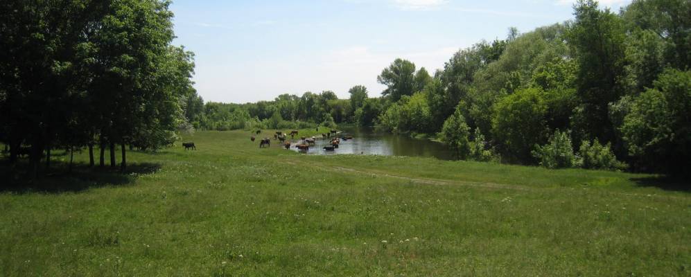 
            Фотография Роговского