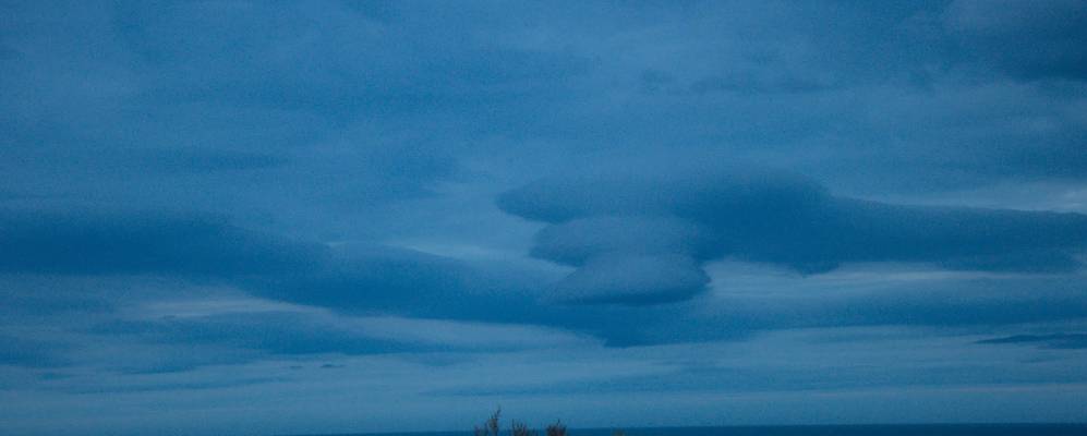 
            Фотография Зубовки