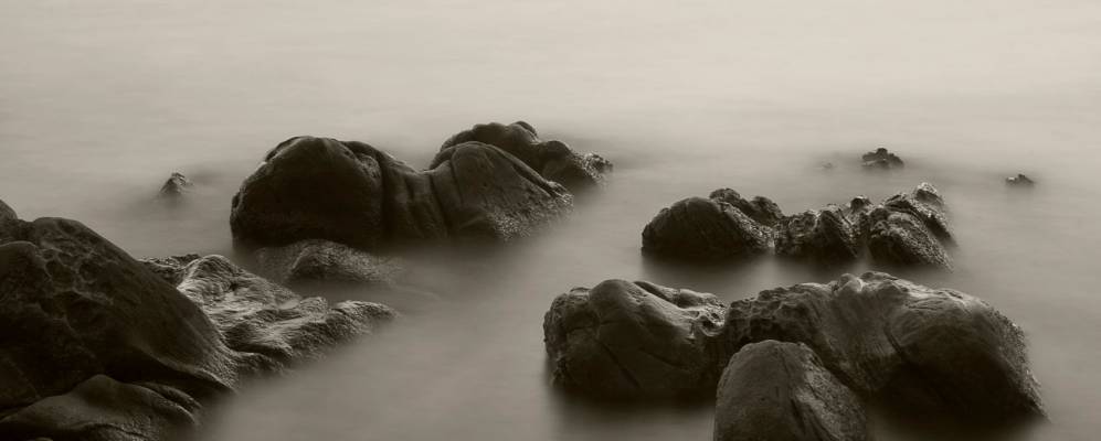 
            Фотография Лопара