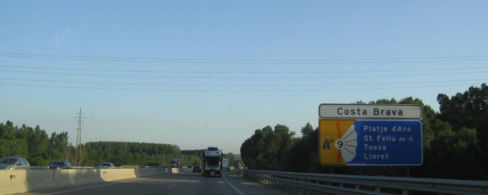 
            Фотография Сильса