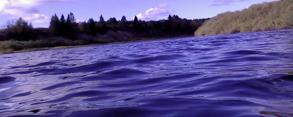 
            Фотография Бешмековской