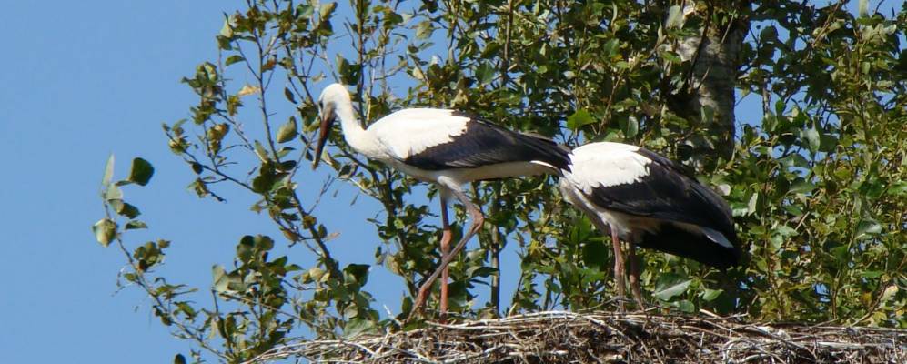 
            Фотография Гурина