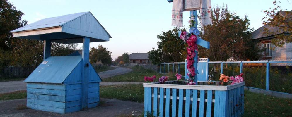 Фотография Сельца