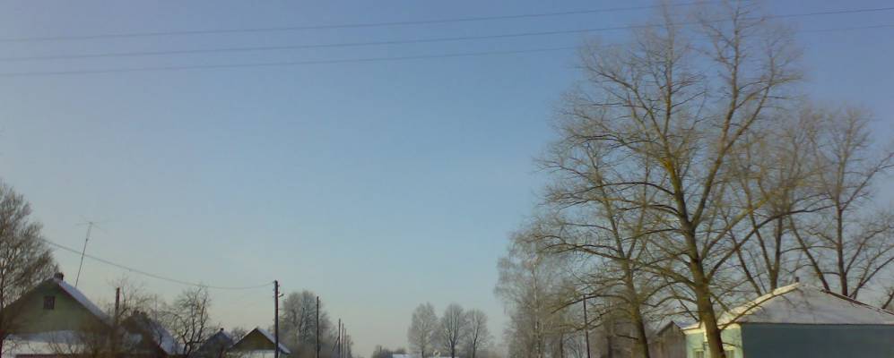 
            Фотография деревни Моисеевичи