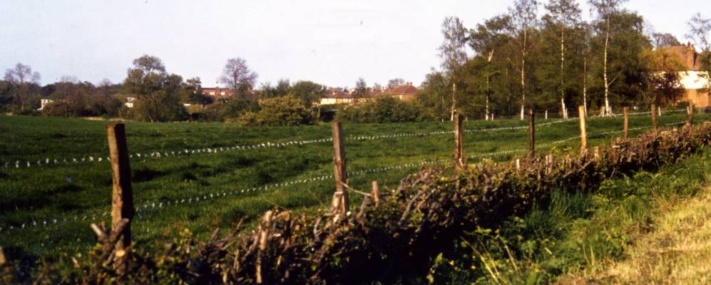 Фотография Салфордса