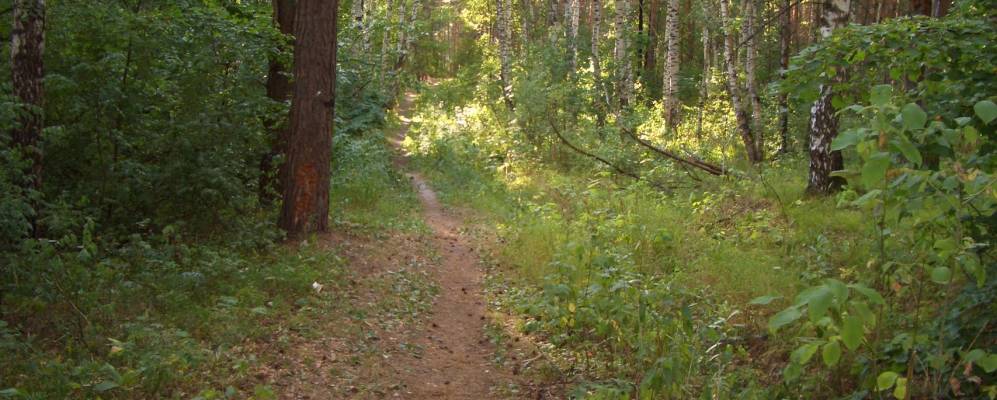 
            Фотография Берёзовки