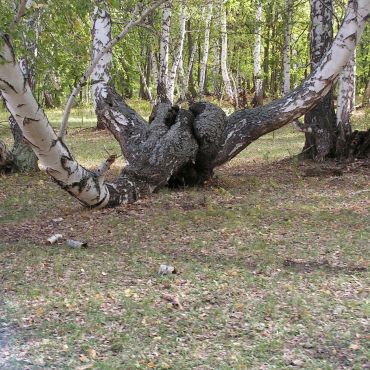 Идельбаково