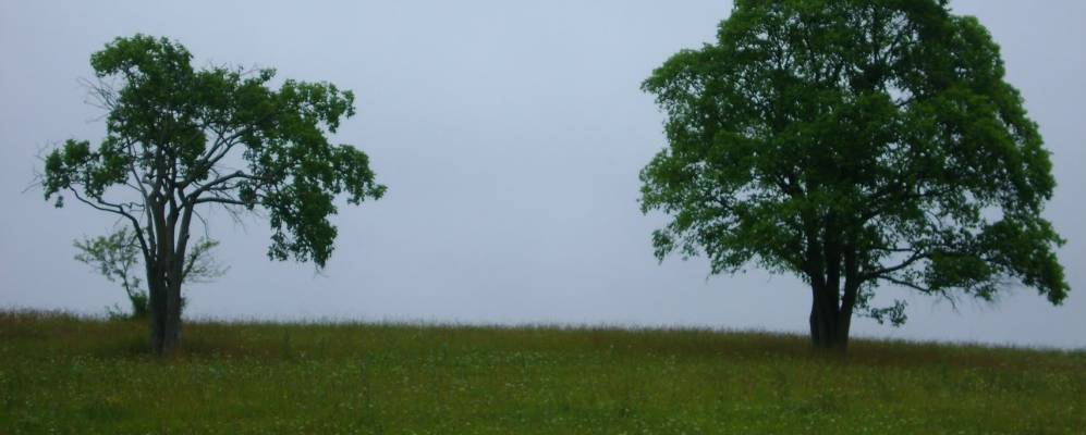 
            Фотография Малого Волочка