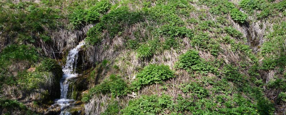 Фотография Долбилово