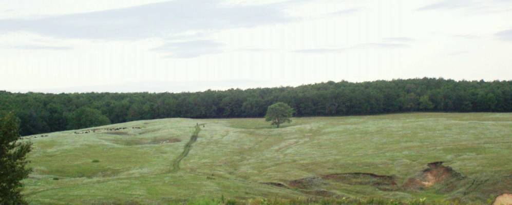 
            Фотография Ишпарсово