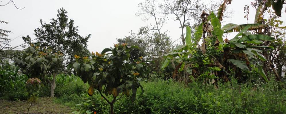 
            Фотография Супе