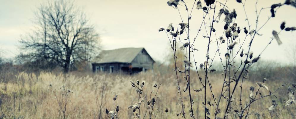 
            Фотография Шелодоновки