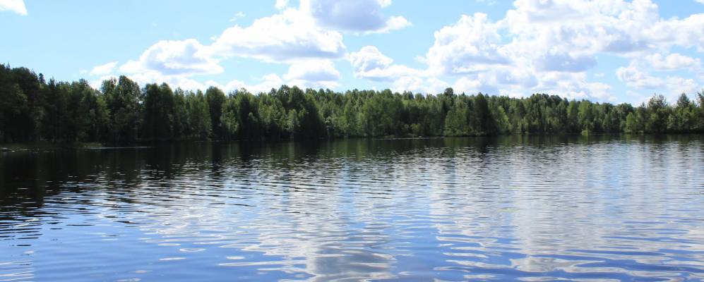 
            Фотография Щеккилы