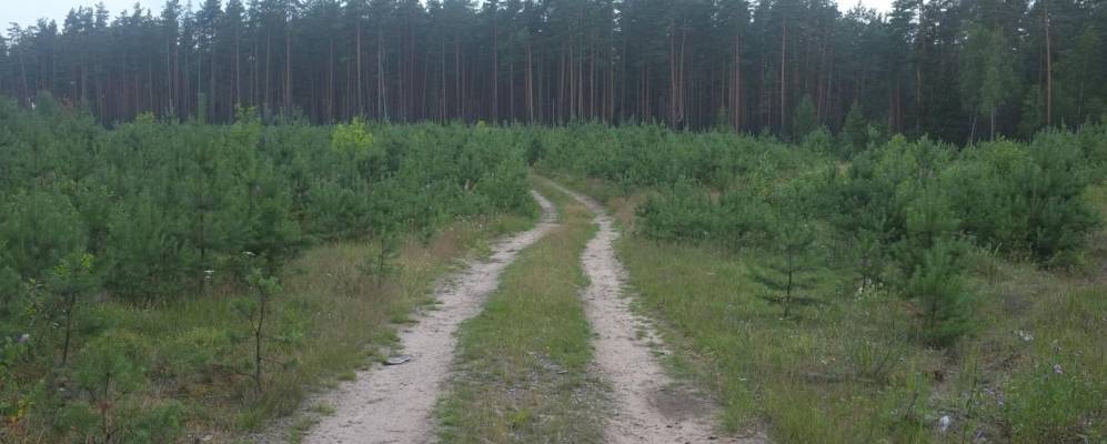 
            Фотография Григорино