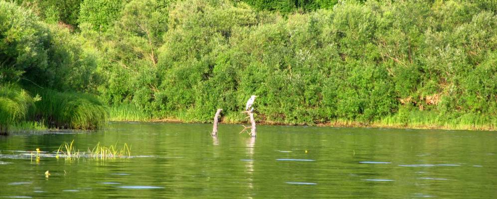 Фотография Верхопижемья